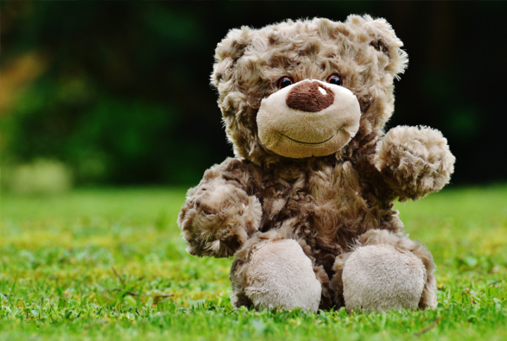 Teddy bear on grass